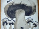 Mushroom Folk sampler - Original UK Compilation LP rare