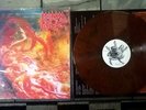 Morbid Angel Blessed Are The Sick Murky Brown Vinyl /100 Rare