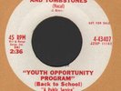 NORTHERN SOUL  YOUTH OPPORTUNITY PROGRAM   