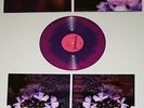 DUMB NUMBERS LP PINK/PURPLE VINYL #70/500 Dinosaur Jr Melvins Sebadoh Best Coast