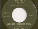 BARRY LANE  rocker 45  Doggone Lonesome Town / I Don't Want You - NM