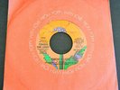 Folk Rock 45 TOWNES VAN ZANDT Poncho & Lefty POPPY Mono/Stereo PROMO 1972 NM-