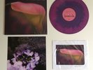 DUMB NUMBERS S/T LP HAZE VINYL w/ DAVID LYNCH SIGNED PRINT 18/25 melvins sebadoh