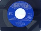 The virginia wolves - stay - northern soul