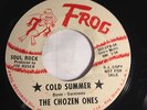 RARE GARAGE PUNK PROMO 45/ THE CHOZEN ONES 