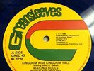 WAILING SOUL KINGDOM RISE KINGDOM FALL / A DAY WILL COME REAR tuf ROOTS