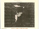 David Bowie - GOLDEN YEARS -  Mexican picture sleeve single - 