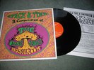 Orange Alabaster Mushroom - Space and Time UK Indie LP 2000 RARE