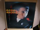 ??? hong kong Lp/dominic chow/13/sing (the model/kraftwerk )cantonese version