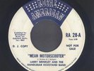 Rockabilly 45  Larry Brinkley  MEAN MOTORSCOOTER  Royal American  hear  RARE 