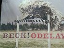 Beck Odelay Vinyl LP