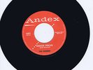 THE RAIDERS - HOCUS POCUS - (very rare repro) MONSTER GUITAR ROCKABILLY JIVER