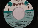 VOICE MASTERS: If A Woman Catches A Fool / You've Hurt Me Baby 45 rare Soul