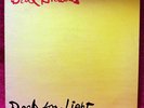 BAD BRAINS ROCK FOR LIGHT 12