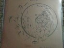 Plastic Surgery - Rivolta 12