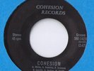 KILLER PRIVATE 1977 MN MONSTER Funk 45 RECORD COHESION BAND Expense  *LISTEN*