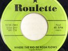 JIMMY LLOYD 45 Where the Rio de Rosa Flows ROULETTE Rockabilly ORIGINAL #C321