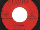 Tittyshaker R&B 45 NOBLE WATTS 