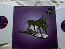 The Black Dog - Spanners - Vinyl/LP