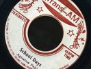 1062 AUGUSTUS PABLO-SCHOOL DAYS-BATTEN DOWN-TRANS AM- REGGAE 45 7