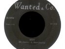 THE WANTED & CO. Why Private Ohio Garage 45 Hear