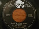 BABY RAY & THE FERNS Frank Zappa World's Greatest Sinner orig 45