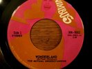 THE MUTUAL UNDERSTANDING Wonderland pop psych EX 45