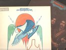 THE EAGLES DESPERADO/ON THE BORDER 2 ORIG LP PRESSINGS WLP PROMO MINT CONDITION