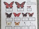 The Jam - Butterfly Collector LP