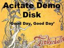 Tinkerbells Fairydust -DEMO Acetate- Unique  - Collectable 