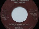 Rare Sweet Soul 45 - Maurice & Studio Band ''In The Summer'' TOWN SOUND Unknown?