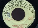 B B Seaton - Nobody Knows You JA orig 7