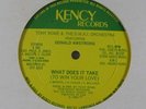 TONY ROME & D.W.A.I. ORCHESTRA What Does It Take 12