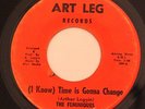 XOVER SOUL 45-THE FEMINIQUES-TIME IS GONNA CHANGE on ART LEG
