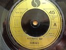 The Ramones 1st 7 inch single Blitzkrieg Bop