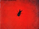 OTIS SPANN w/FLEETWOOD MAC • BIGGEST THING SINCE COLOSSUS • '69 LP BLUE HORIZON
