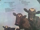 Pink Floyd  Atom Heart Mother Picture Disc Mint