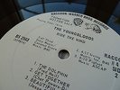 THE YOUNGBLOODS - Ride The Wind;1971 Promo LP - Jesse Colin Young - Folk - Psych