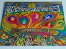 THE SAVAGE RESURRECTION rare PSYCH ORIG stereo MERCURY 66156 CLEAN
