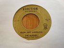 45 THE ROGUES - TRAIN KEPT A-ROLLING (AUDITION 6110) VERY RARE ORIG USA GARAGE