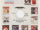 Philly Northern Girls/R&B BRONZETTES Run, Run, You Little Fool/Hot Spot M- HEAR