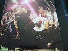 NEW YORK DOLLS...TOO MUCH TOO SOON...NEW YORK GLAM PUNK ROCK...MINTY LP 33 RPM