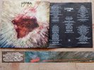 LITFIBA 17 RE LP Introvabile Francia IRA / Madrigal 102 / F00 41 1987 VINILE