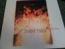 OMNI TRIO - EVEN ANGELS CAST SHADOWS LP