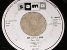 PRIVATE 1959 MN Rockabilly 45 - TERRY LEE & POORBOYS 