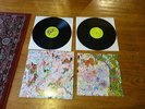 Lightning Bolt Earthly Delights LP