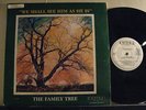 FAMILY TREE we shall see..CHERI gospel funk / modern soul LP RARE promo *Hear*