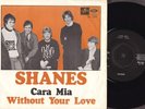 THE SHANES - Cara mia - Swedish beat freakbeat - Swedish SP 1967 - LISTEN