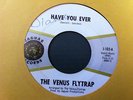 The Venus Flytrap Have You Ever / The Note bay area psych Garage 45