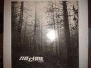 The Cure: A forest 12” vinyl single